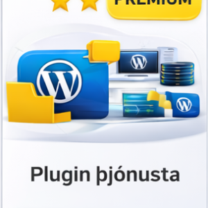 Þjónusta + Plugin – 12 mánuðir