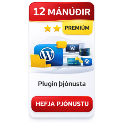 Service + Plugin – 12 Month