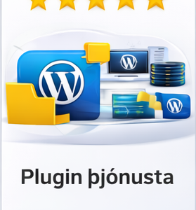 Þjónusta + Plugin – 3 mánuðir
