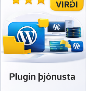 Þjónusta + Plugin – 6 mánuðir