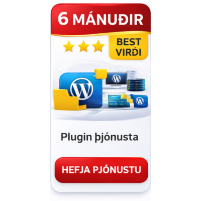 Service + Plugin – 6 Month